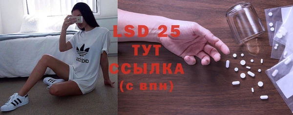 гидра Аркадак