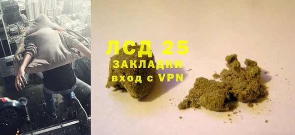 гидра Аркадак