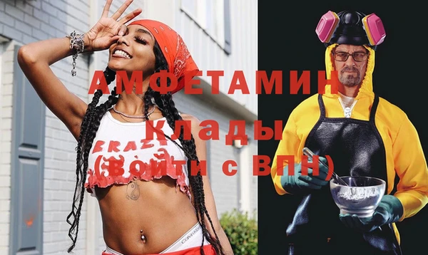 гидра Аркадак